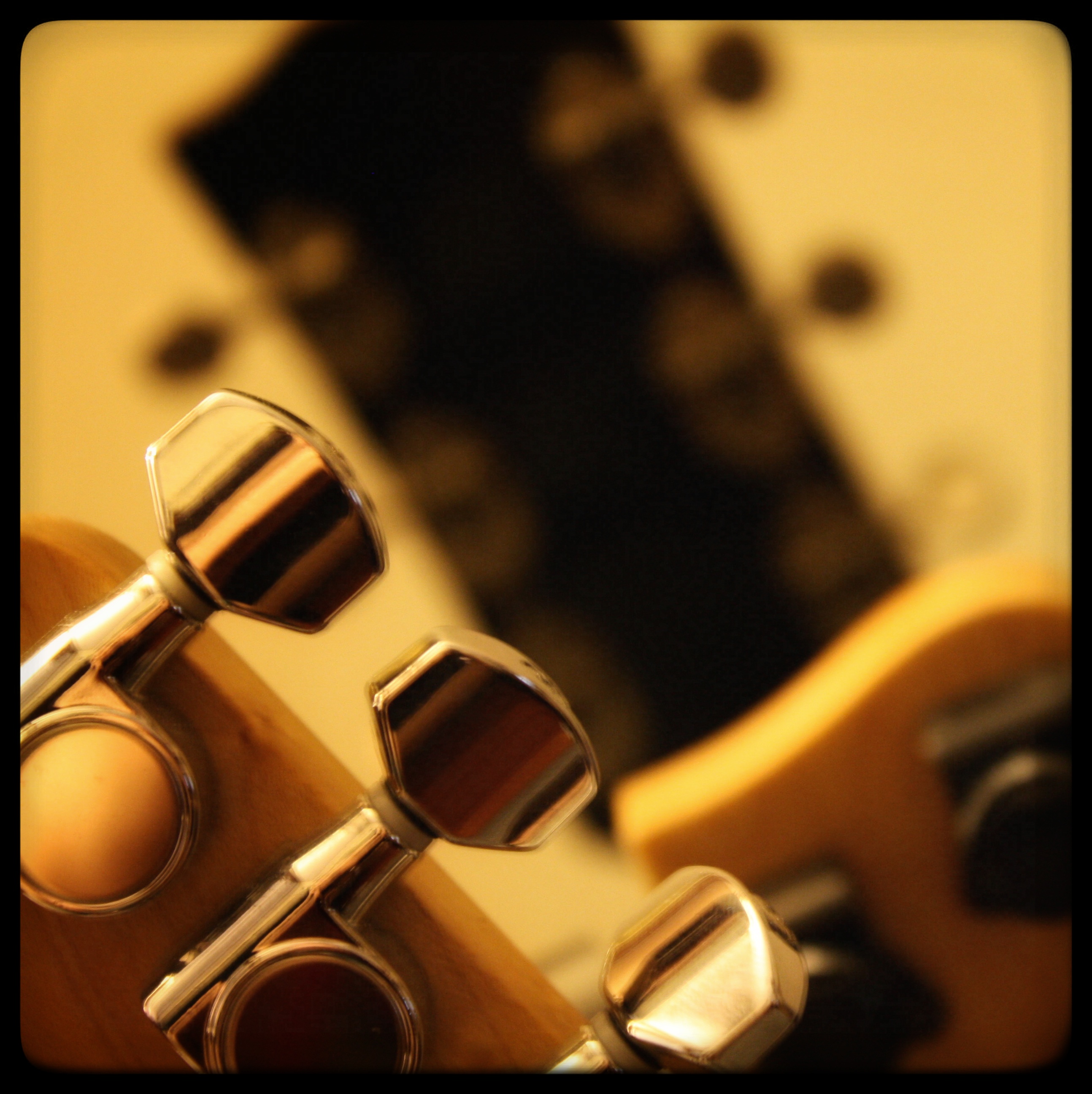 Close-up of guitar tuning pegs and headstock